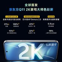 全球首发！vivo X500 Pro Max搭载6.85英寸京东方Q11 2K蔡司大师色彩屏