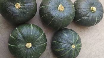 ✨挖到正宗板栗味贝贝南瓜🎃