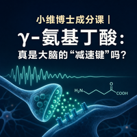 小维博士成分课｜γ-氨基丁酸：真是大脑的“减速键”吗？