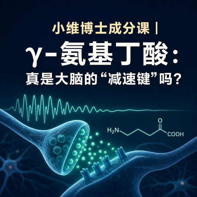 小维博士成分课｜γ-氨基丁酸：真是大脑的“减速键”吗？