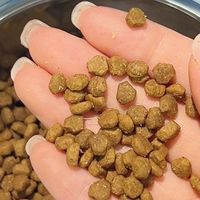 十斤大包装太划算了！多猫家庭囤货必选