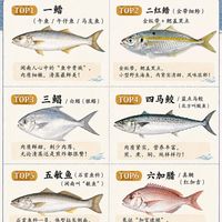 闽南渔村公认的最好吃的6种海鱼🐠