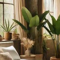 新装修怎样除甲醛？新房通风矿物全屋方案哪个更靠谱实测与选法