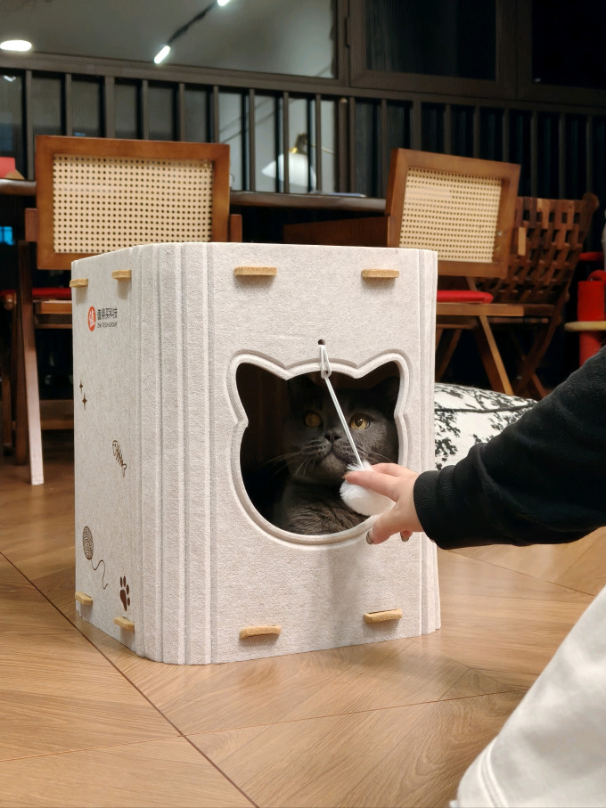 猫狗窝