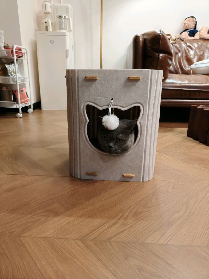 猫狗窝