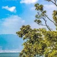 男孩子挑清爽护手霜怎么选？不油腻又好补涂的先看这几支
