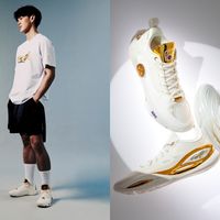 韦德之道正代还是哈登复刻?签名鞋收藏逻辑全拆解