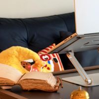 低成本出租屋改造与收纳实践