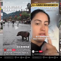 原来给孩子看的内容，不一定非得像“上课”