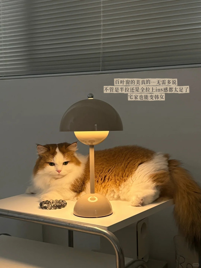客厅家具