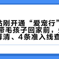 河南6站刚开通“爱宠行”：中秋国庆带毛孩子回家前，先把这3笔账算清、4条准入线查完