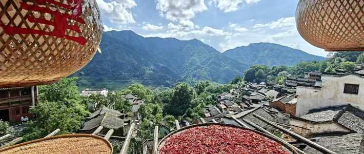篁岭晒秋开了21天，两拨人还在吵：这145元的门票值不值，先看你躲不躲得开这三件事