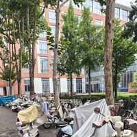 下单小电驴前先问学校让不让进：高校已在“控增量”，先跑3步再定买、租还是收