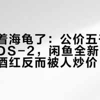 别只盯着海龟了:公价五千多的雪铁纳DS-2,闲鱼全新两千能淘到,酒红反而被人炒价