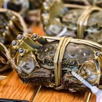 四两蟹二两绳、预约永远约满:蟹券真正的难关不在买,而在提