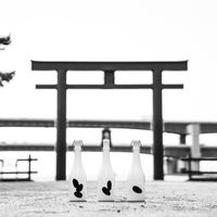 冷卸解禁倒计时：一个夏天的熟成，今年秋酒已到港，第一瓶怎么选不踩坑