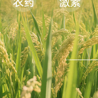 新手爸妈必看！宝宝有机米粉优质品牌深度测评