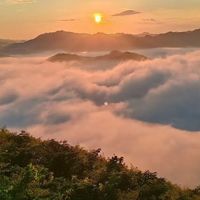 多口腔实测4款平价牙膏|换季不酸牙去渍不伤釉
