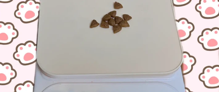 幼犬喂多少，别再用颗粒数了：一条公式算出起点，三把