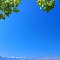 去黑头收缩毛孔产品哪个效果好？化妆党4款毛孔护理淡黑头粗毛孔