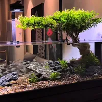 铺了溪流石，鱼反而一条条死：翻完312条评论的诊断，问题出在同一件事上