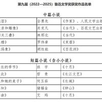 昨晚，鲁奖在上海颁出：35部获奖作品我替你盘了一遍，27部能直接买，人文社拿下3部