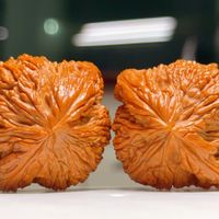 下树季5000元，两个月后800元？今年文玩核桃下树季，又贵又魔幻