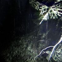 Epic本周第三个喜加一，周二就截止：《暗夜同行》好评刚过半，值不值得喊朋友来玩？