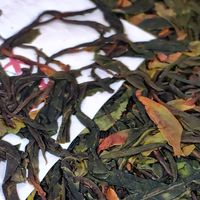 2026高端云南古树茶推荐:临沧深山茶味,藏在这几杯茶里