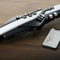 电吹管：被退休族捧红、被专业圈嫌弃，第一支怎么买不踩坑