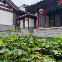 医院卖239元，药店卖99元：宏济堂安宫牛黄丸两个月被停两次，家里备"安宫"到底该花多少钱？