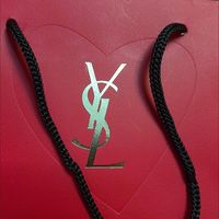 YSL小黑条314色号适配性分析