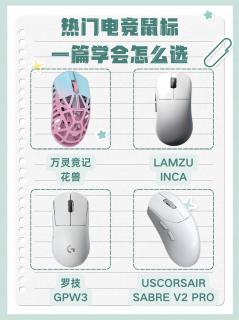 电竞鼠标选购干货｜别再盯着参数盲目入手🖱️