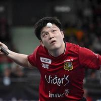 影院看球别乱花钱！老球迷的零食和应援省钱指南