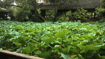“周瑜注册猪葛亮”半年后：公司注销了，1987件心机商标被无效，但这些包装还在卖