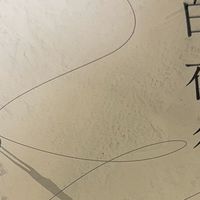 白夜行：人性深渊的漫长凝视