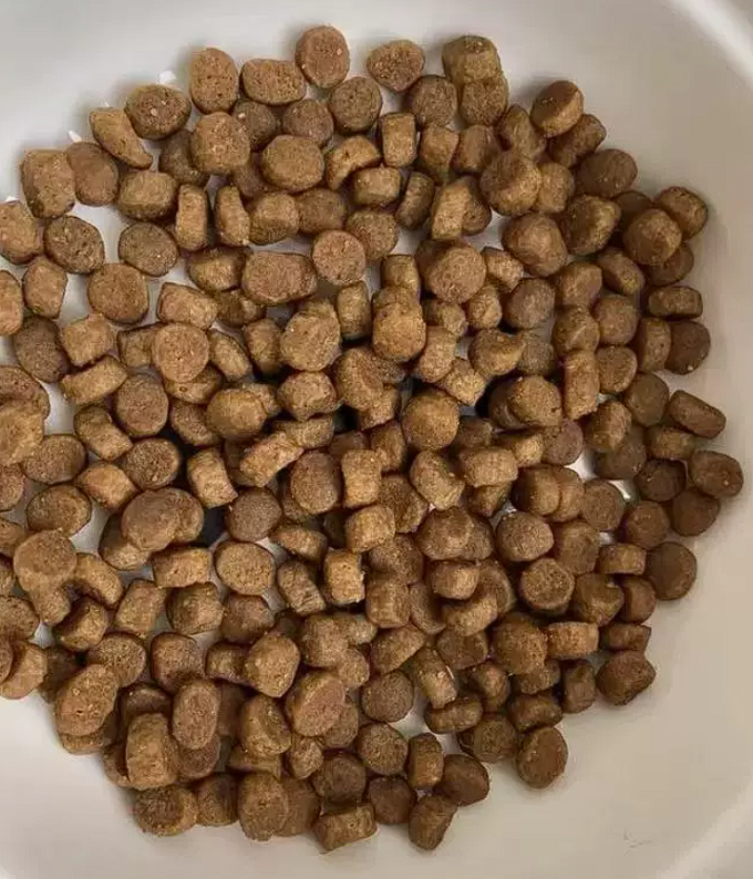 福摩猫粮