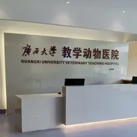 兔子积食2470、仓鼠手术700：1700万异宠人正在踩的医疗断层，接宝宝进门先看懂