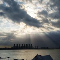 报价100、成交35：翻完独墅湖桨板两个月的报价和吐槽，这份“收官攻略”收好