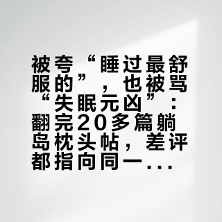 被夸“睡过最舒服的”，也被骂“失眠元凶”：翻完20多篇躺岛枕头帖，差评都指向同一个变量