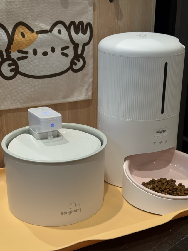 Rongholt茸货柔音饮水机✨告别天天手动换水的烦恼
