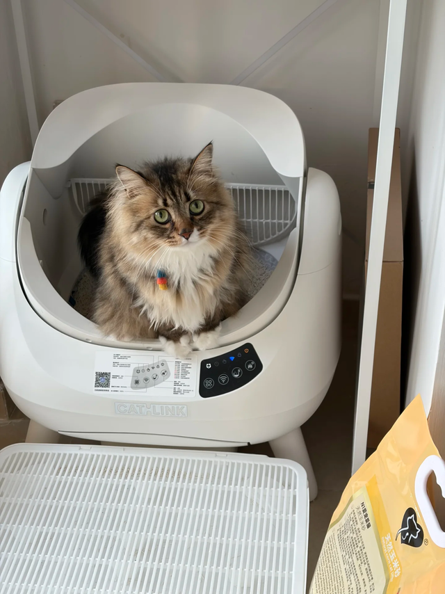 CATLINK自动猫砂盆🐱多猫家庭解放双手神器