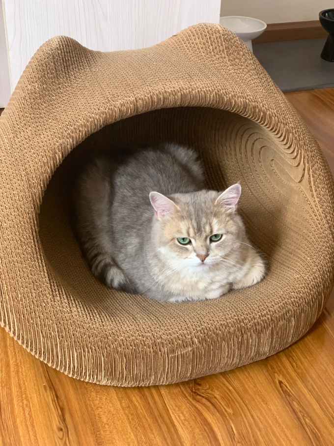 猫狗窝
