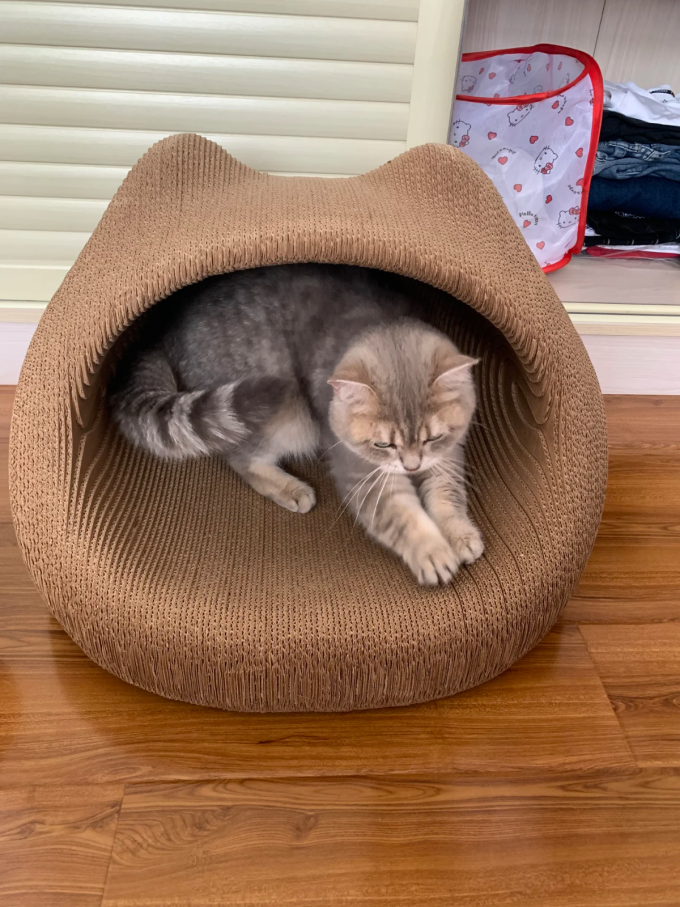 猫狗窝