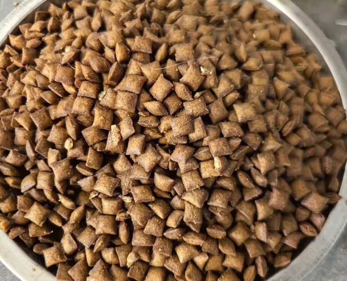 猫爸爸的厨房猫粮