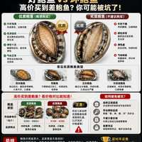 做菜鲍鱼怎么挑？一篇看懂鲜活鲍、干鲍和“头数”，别再花冤枉钱