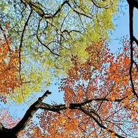 敏感肌怎么选祛疤产品?别只看“能不能淡”,还要兼顾肤感与成膜