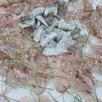 河南5人吃鱼生全中招!最容易染上寄生虫的5食物,别再乱吃了