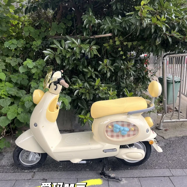 2099到3999，爱玛M豆的版本比颜色还多：开学想痛车的姑娘，先问电压、牌照、红线