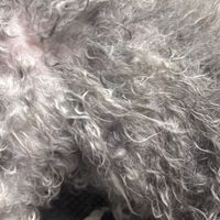 开结费一小时20到300都有：翻完两派的帖子，我发现这笔钱其实是三种价